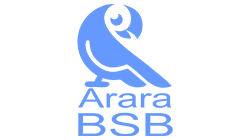 Arara BSB